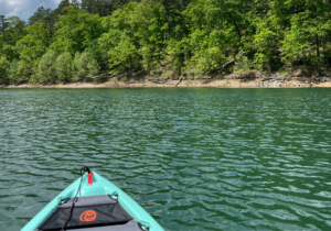 van Winkle Hollow - Hobbs State Park - northwest arkansas gem