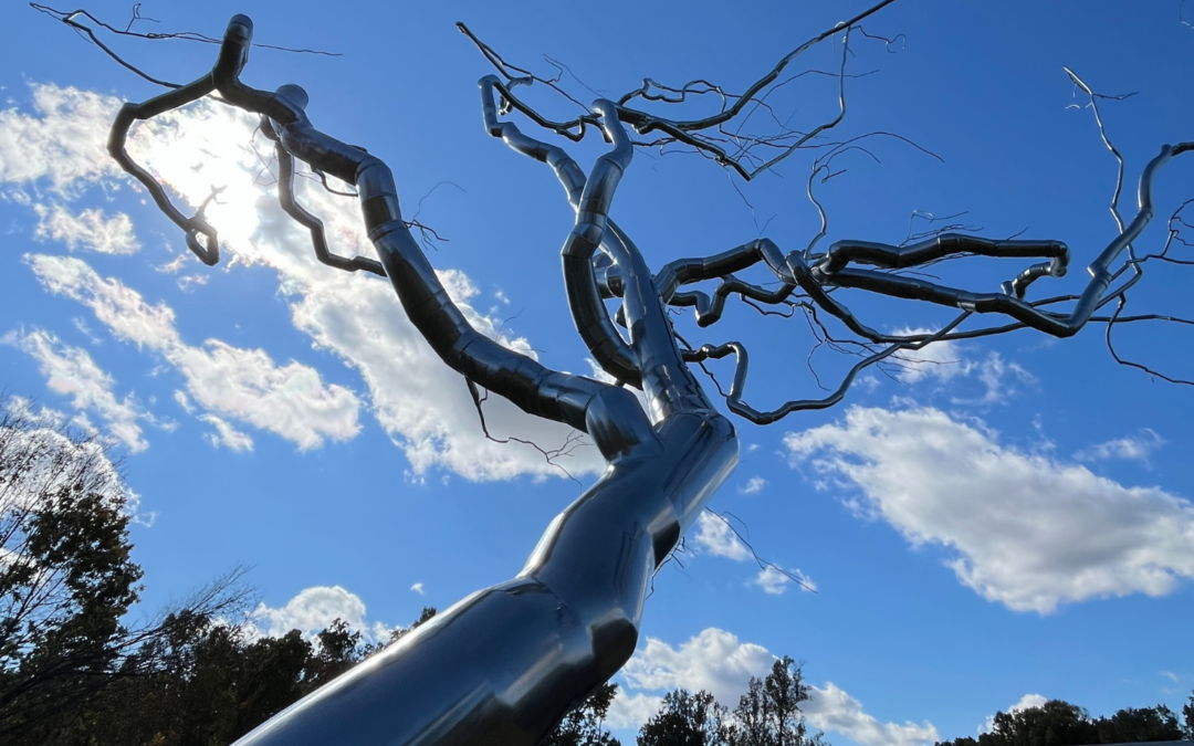 Museums in Bentonville That Will Inspire You