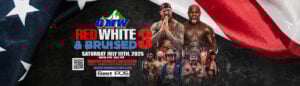 Red White and Bruised Banner