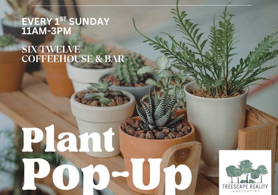 Pop-Up Plant Sale!