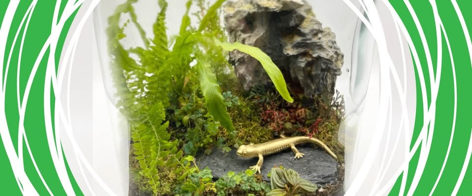 Terrarium Workshop with Pink Fern
