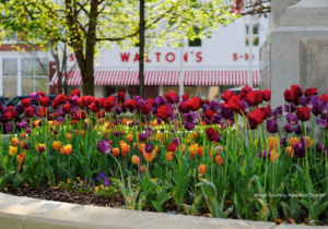 Events and things to do in bentonville _ARKANSAS this weekend