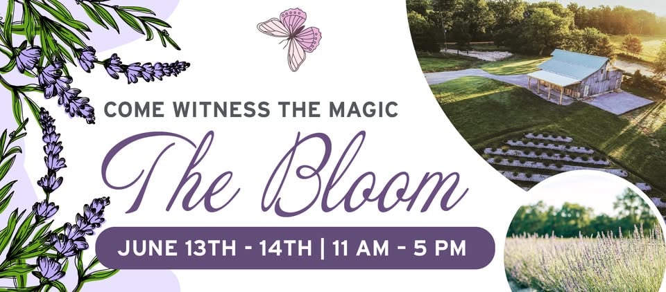 2nd Annual The Bloom Festival