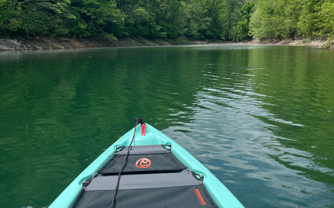 Kayaking Spots in Northwest Arkansas & Southwest Missouri